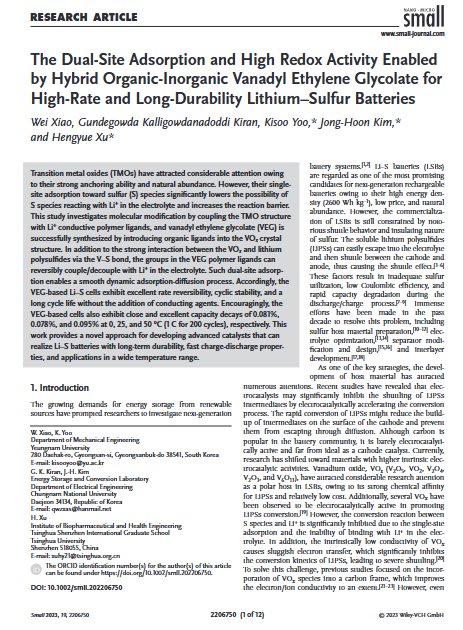 The Dual‐Site Adsorption and High Redox Activity Enabled by Hybrid Organic‐Inorganic Vanadyl Ethylene Glycolate for High‐Rate and Long‐Durability Lithium–Sulfur Batteries 이미지